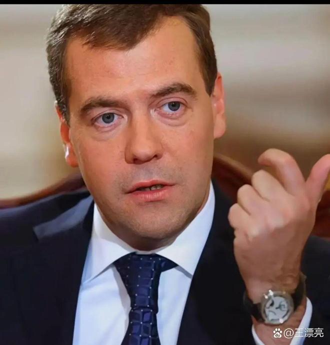 韦杰夫要求芬兰赔偿！CQ9电子游戏梅德(图2)