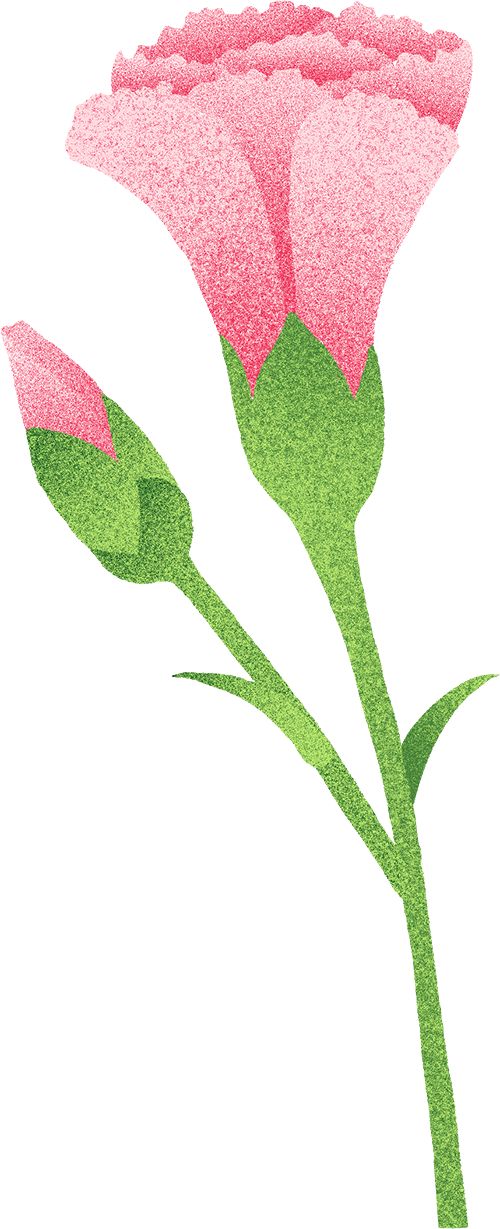 区开展母亲节系列文明实践主题活动CQ9电子有限公司长春净月高新(图6)
